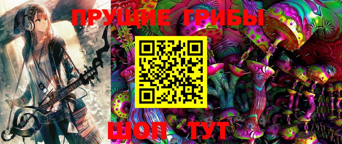 Галлюциногенные грибы Psilocybe Мичуринск