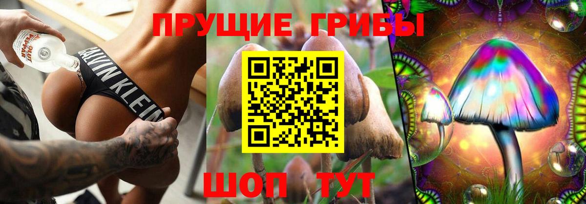 Псилоцибиновые грибы Magic Shrooms  Галлюциногенные грибы Cubensis  Мичуринск  Вход с VPN 